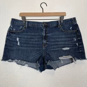 Aerie Daydream Denim Shorts Distressed Stretch Size XL